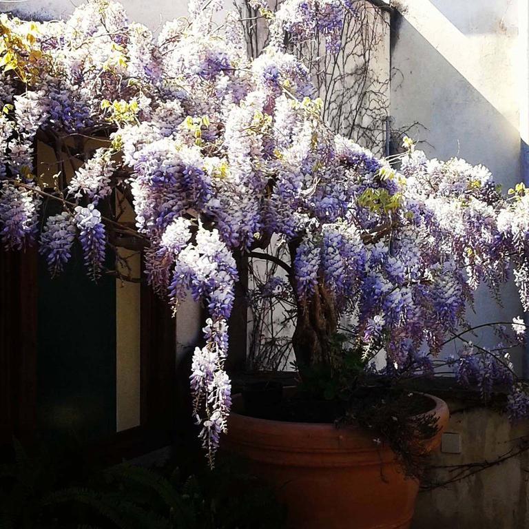 B&B Le Terrazze Bisceglie Bagian luar foto