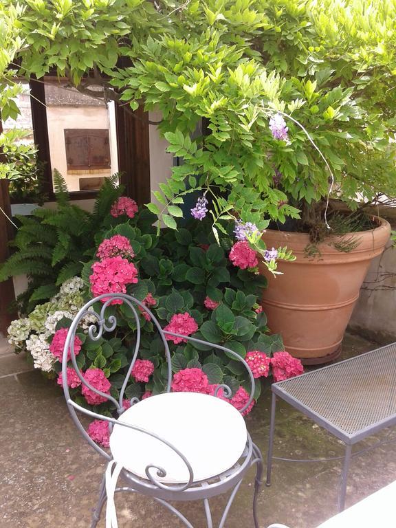 B&B Le Terrazze Bisceglie Bagian luar foto