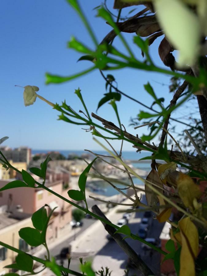 B&B Le Terrazze Bisceglie Bagian luar foto